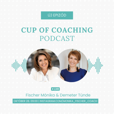 cup of coaching DT